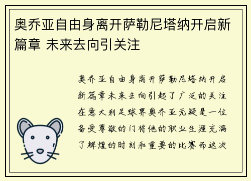 奥乔亚自由身离开萨勒尼塔纳开启新篇章 未来去向引关注